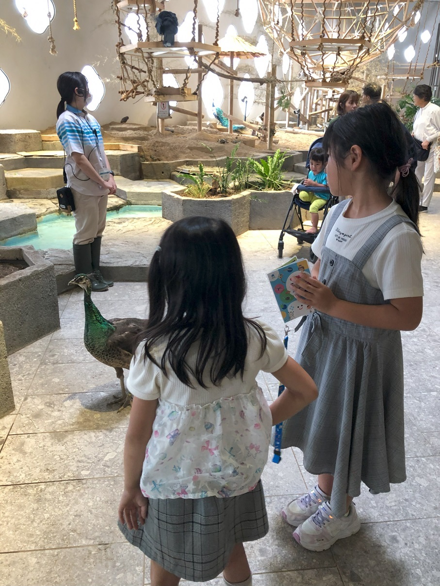 07-13 ニフレル
