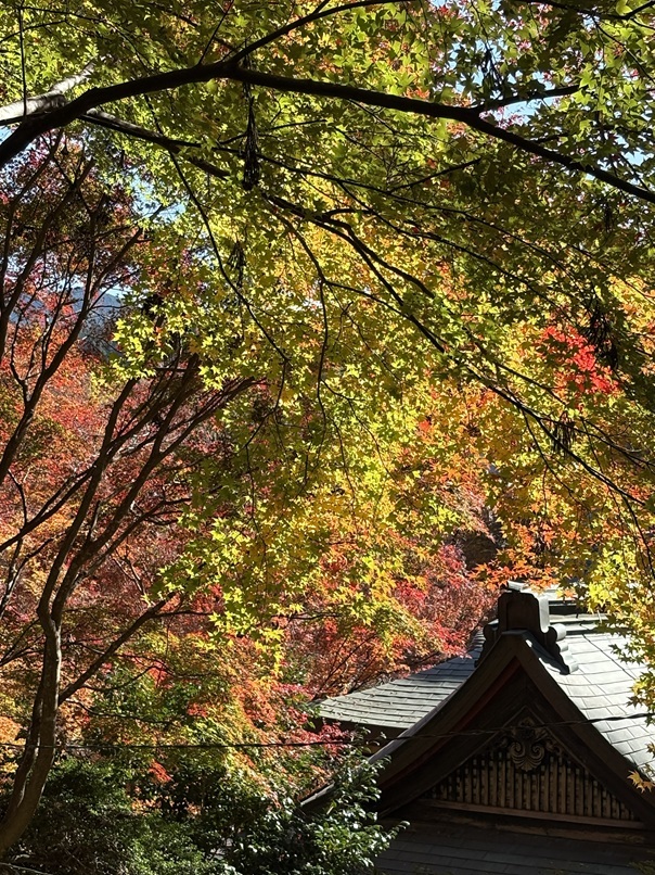 07-談山神社　奈良